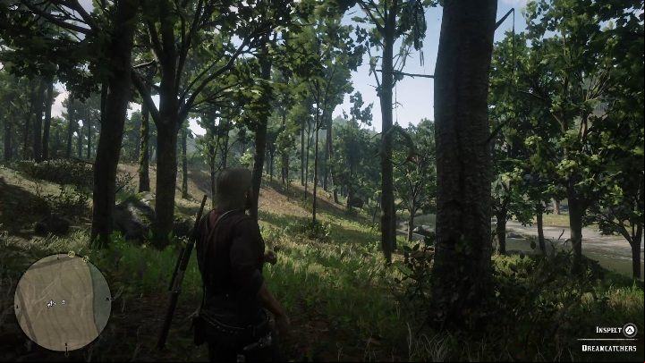 This Dreamcatcher can be found north of Annesburg - Red Dead Redemption 2: Dreamcatchers - where to find all of them? Maps - Secrets and collectibles - Red Dead Redemption 2 Guide