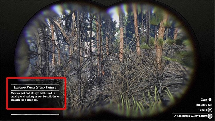 Obtaining perfect skin quality is not an easy task, because you have to meet several specific requirements to guarantee yourself a chance of getting any of them - Red Dead Redemption 2: Best animal skins, pelts - how to get? - Hunting and wild animals - Red Dead Redemption 2 Guide
