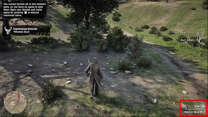 Information that youve obtained a perfect skin should appear in the lower right corner of the screen - as shown in the picture - Red Dead Redemption 2: Best animal skins, pelts - how to get? - Hunting and wild animals - Red Dead Redemption 2 Guide