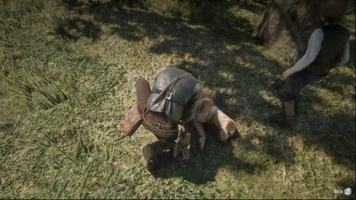 When Jack moves away a little, follow him and you will find Rufus, who was bitten by a snake - Red Dead Redemption 2: Trying Again - walkthrough - Epilogue Part 2 - Beechers Hope - Red Dead Redemption 2 Guide