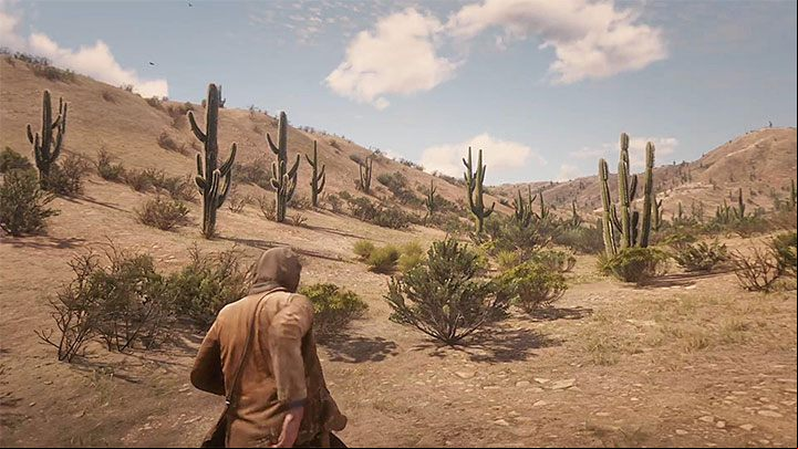 Completing all the steps described above allows you to explore Mexico - Red Dead Redemption 2: Mexico - how to reach? - Campaign - Red Dead Redemption 2 Guide