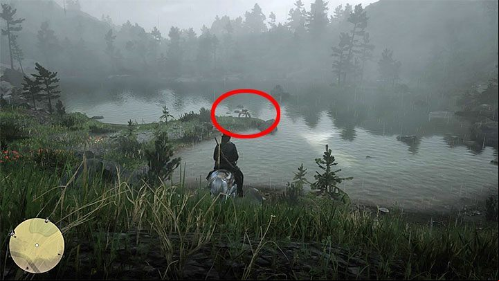 The prosthesis is carried by the veterans horse, Buell - Red Dead Redemption 2: The Veteran - walkthrough, map - Side quests - Red Dead Redemption 2 Guide