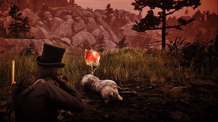 Soon after reaching the edge of the cliff you will get an opportunity to shoot the wolf - Red Dead Redemption 2: The Veteran - walkthrough, map - Side quests - Red Dead Redemption 2 Guide