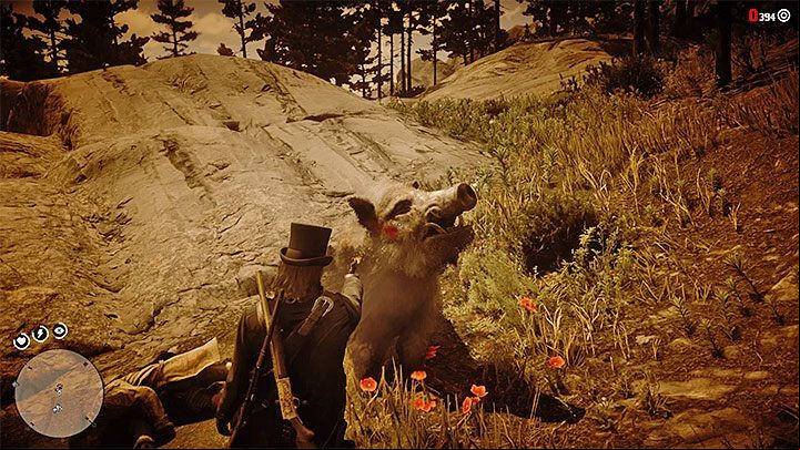 After hearing shots, go to the area that the veteran was investigating - Red Dead Redemption 2: The Veteran - walkthrough, map - Side quests - Red Dead Redemption 2 Guide
