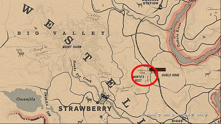 2 - Red Dead Redemption 2: Small side quests - unique locations - walkthrough, maps - Side quests - Red Dead Redemption 2 Guide