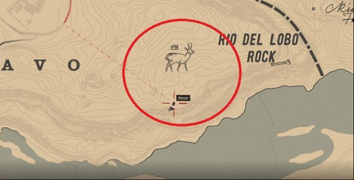 The Pronghorn can be found in the area marked in the picture above - Red Dead Redemption 2: Legendary Pronghorn - maps, tips - Legendary Animals - Red Dead Redemption 2 Guide