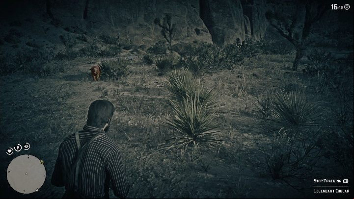 2 - Red Dead Redemption 2: Legendary Cougar - maps, tips - Legendary Animals - Red Dead Redemption 2 Guide