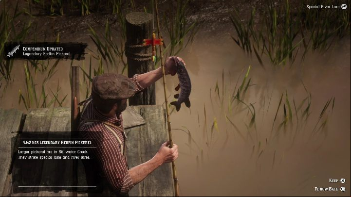 Legendary Redfin Pickerel is a small fish - Red Dead Redemption 2: Legendary Redfin Pickerel - maps, tips - Legendary fish - Red Dead Redemption 2 Guide