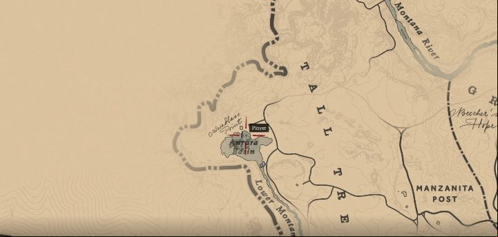 This fish is in the eastern part of Tall Trees - Red Dead Redemption 2: Legendary Rock Bass - maps, tips - Legendary fish - Red Dead Redemption 2 Guide