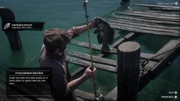 Legendary Rock Bass is a small fish - Red Dead Redemption 2: Legendary Rock Bass - maps, tips - Legendary fish - Red Dead Redemption 2 Guide