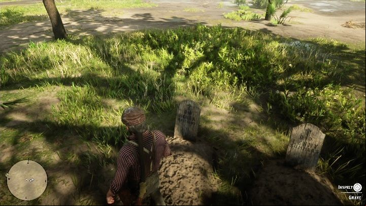 The graves are near the tree - Red Dead Redemption 2: Graves - maps, locations, tips - Secrets and collectibles - Red Dead Redemption 2 Guide