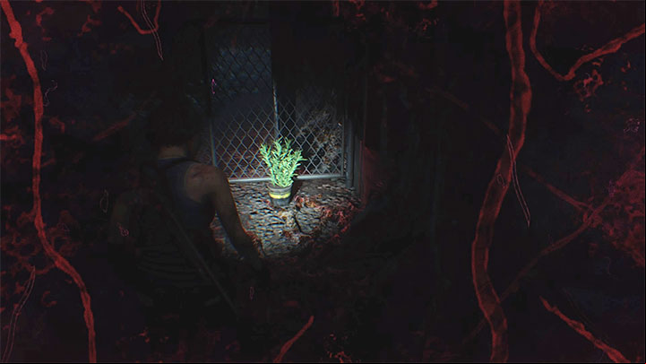 2 - Resident Evil 3: Parasite - how to get rid of it? - FAQ - Resident Evil 3 Guide