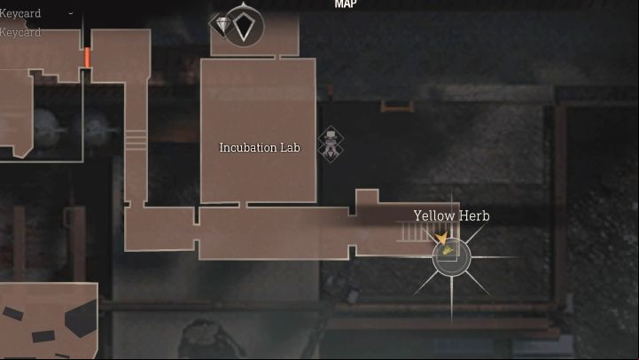 Yellow Herb #2 is in a room next to the stairs,east from Incubation Lab - Resident Evil 4 Remake: Yellow Herb map - Island - Secrets - Resident Evil 4 Remake Guide