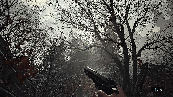 You can use a sniper rifle to kill the rare bird, or you can get closer and use a regular pistol - Resident Evil Village: Juicy Game ingredient - how to get it? - FAQ - Resident Evil Village Guide