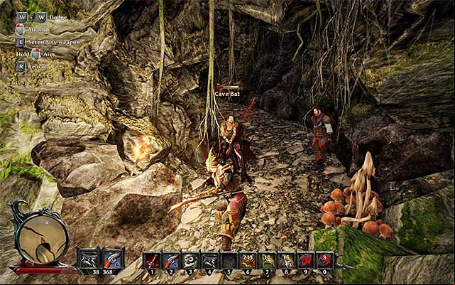 There are other monsters in this cave. - Tour of Taranis - Side Quests - Taranis - Risen 3: Titan Lords - Game Guide and Walkthrough