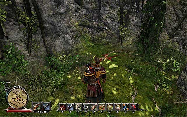 You will have to get to the Southern part of the jungle. - The Treasure in the Woods of Taranis - Side Quests - Taranis - Risen 3: Titan Lords - Game Guide and Walkthrough