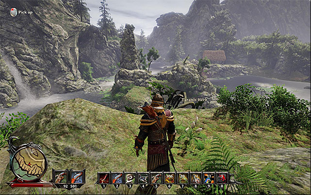 Your task is to locate Taranis Herb (which can be seen on the screenshot presented above) - Herbs and Tinctures - Side Quests - Taranis - Risen 3: Titan Lords - Game Guide and Walkthrough