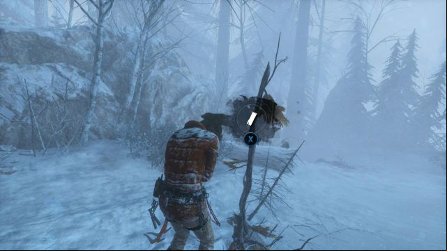 Use Laras instinct and you will notice three golden poles that point to the locations, where you will find resources - Rise of the Tomb Raider: Find resources to build a fire and shelter walkthrough - Siberian Wilderness - A Cold Welcome - Rise of the Tomb Raider Guide