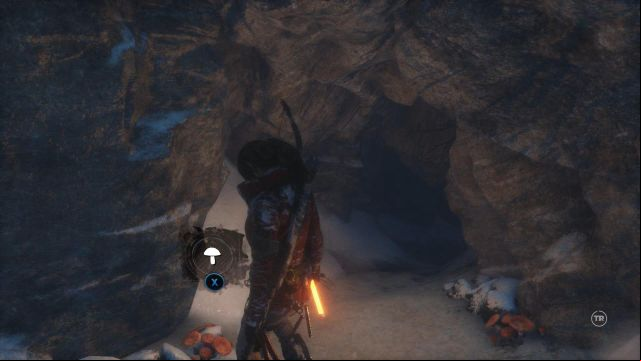 Her instincts lead Lara to a cave with poison mushrooms - Rise of the Tomb Raider: Find mushrooms for the arrow upgrade, walkthrough - Siberian Wilderness - Best Laid Plans - Rise of the Tomb Raider Guide