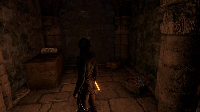 After you through the chamber with murals on walls and jump over onto three successive columns, you walk into a small corridor - Rise of the Tomb Raider: Documents, Abandoned Mine secrets, locations, tips - Abandoned Mine - Rise of the Tomb Raider Guide
