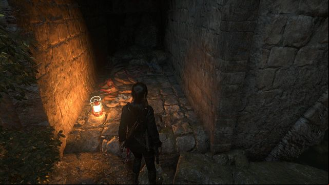 Under the bridge, cross the swamp, over to the other side, where you find the document in the recess - Rise of the Tomb Raider: Documents, The Acropolis secrets, locations, tips - The Acropolis - Rise of the Tomb Raider Guide