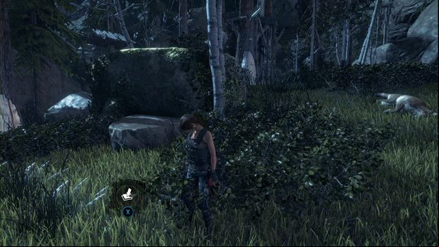 In the bushes in front of the rock - Rise of the Tomb Raider: Survival caches, Geothermal Valley secrets, map - Geothermal Valley - Rise of the Tomb Raider Guide