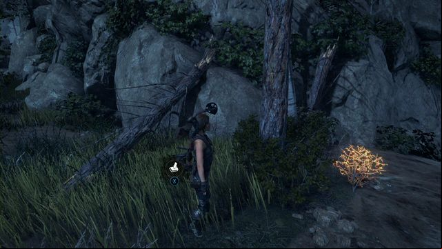 By the fallen tree to the right of the cave entrance - Rise of the Tomb Raider: Survival caches, Geothermal Valley secrets, map - Geothermal Valley - Rise of the Tomb Raider Guide