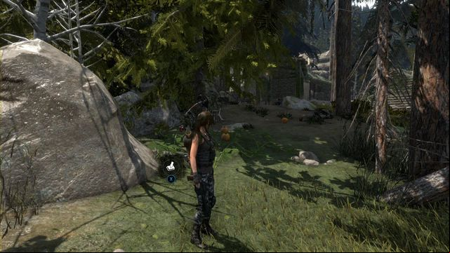 By the rock, behind the field of pumpkins - Rise of the Tomb Raider: Survival caches, Geothermal Valley secrets, map - Geothermal Valley - Rise of the Tomb Raider Guide