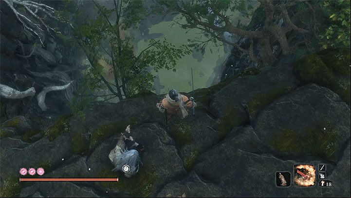All of the above areas were connected with getting to Guardians Ape lair, but the Sunken valley has additional two large zones - Sunken Valley | Sekiro Shadows Die Twice Walkthrough - Main story - Sekiro Guide and Walkthrough