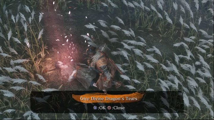 Once both bosses are dead, approach Kuro - Immortal Severance | Sekiro Shadows Die Twice endings - Game Endings - Sekiro Guide and Walkthrough