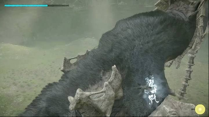 The two additional weak spots are found in the upper parts of the beasts front legs - Colossus 4 - Phaedra | Shadow of the Colossus Walkthrough - Walkthrough - Shadow of the Colossus Game Guide