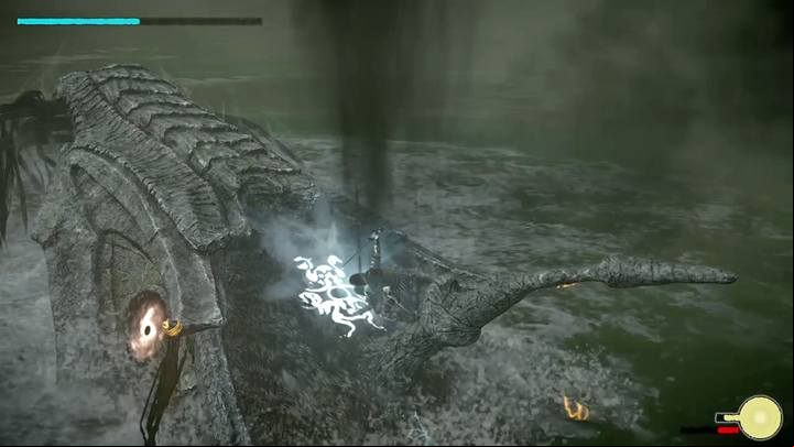 The boss main vital point is located on its head - Colossus 7 - Hydrus | Shadow of the Colossus Walkthrough - Walkthrough - Shadow of the Colossus Game Guide