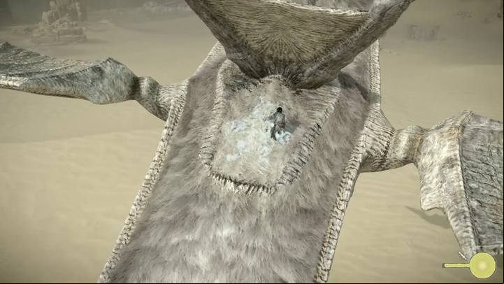 One of the vital points on the colossus body - Colossus 13 - Phalanx | Shadow of the Colossus Walkthrough - Walkthrough - Shadow of the Colossus Game Guide