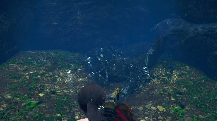 The fifth cache (5) is under water, between branches - Chests and survivalist cache in The Hidden City | Secrets in SotTR - The Hidden City - Shadow of the Tomb Raider Game Guide