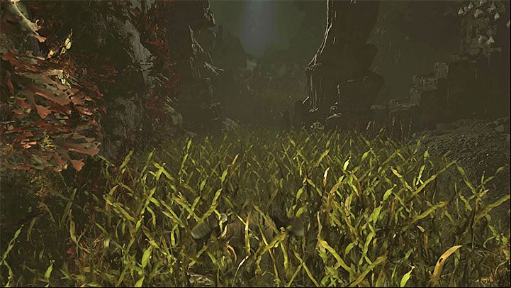 Squeeze through the damaged wall to leave the hall with the mural - Escaping the temple and returning to the Kuwaq Yaku - Path of the Dead - Kuwaq Yaku - Shadow of the Tomb Raider Game Guide