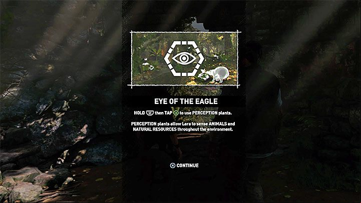 Type of trophy: bronze - Trophy guide to Shadow of the Tomb Raider - Trophy Guide - Shadow of the Tomb Raider Game Guide