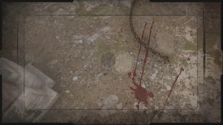 Before you leave this area, it's a good idea to take a forensic photo of the elephant's footprint and the bloodstain - Sherlock Holmes Chapter One: A Gilded Cage, the crime scene - walkthrough - A gold-plated cage - Sherlock Holmes Chapter One Guide