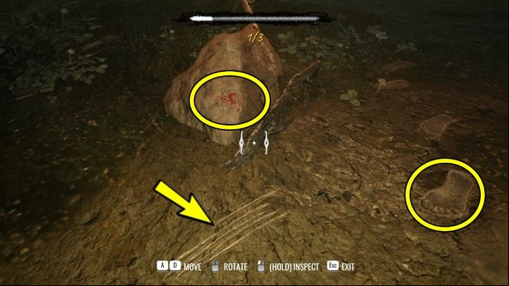 At the footprints near the stone check out - Sherlock Holmes The Awakened: The Swamp - Chapter 6 - Wetlands - Sherlock Holmes The Awakened Walkthrough