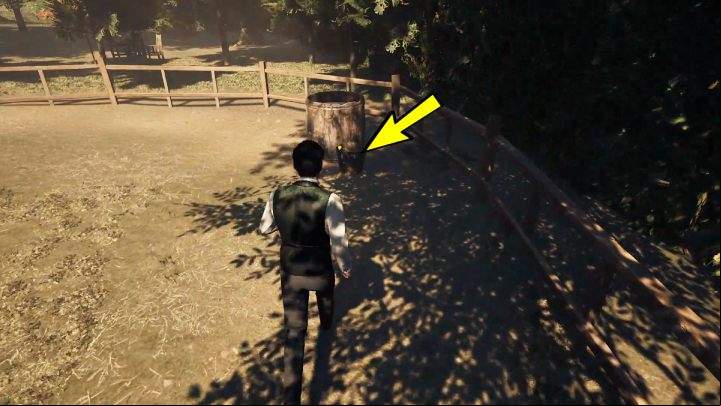 Notes: obtainable during the course of Chapter 5 - Sherlock Holmes The Awakened: Trophies / Achievements - Appendix - Sherlock Holmes The Awakened Walkthrough