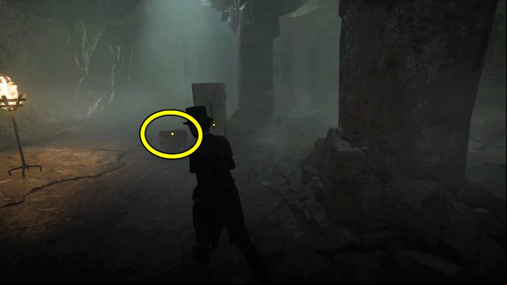 Enter the room on the right and take a look at the heart on the table and a vessel with blood near the lever - Sherlock Holmes The Awakened: Ardnamurchan Point - Chapter 8 - Ardnamurchan Point - Sherlock Holmes The Awakened Walkthrough