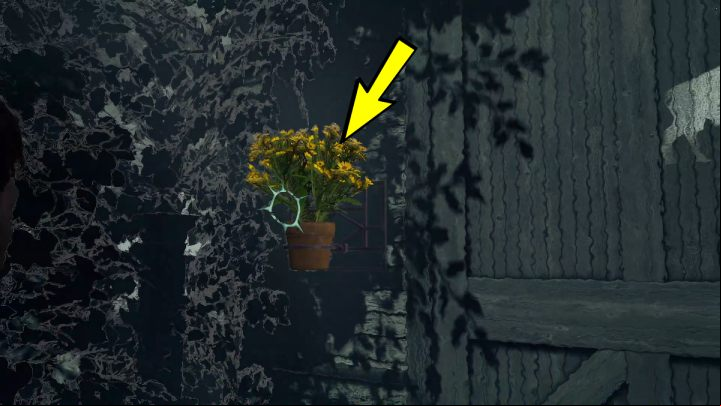The key to the stables can be found in the flowers on the left side of the gate - Sherlock Holmes The Awakened: Garden of Arnesons Mansion - Chapter 5 - Arnesons Mansion - Sherlock Holmes The Awakened Walkthrough
