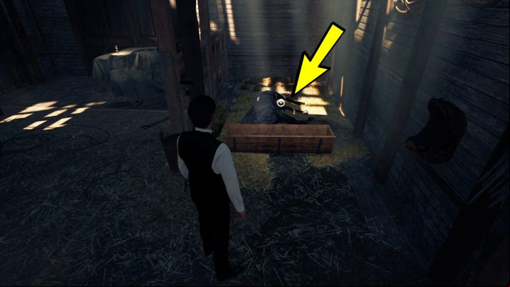 2 - Sherlock Holmes The Awakened: Garden of Arnesons Mansion - Chapter 5 - Arnesons Mansion - Sherlock Holmes The Awakened Walkthrough