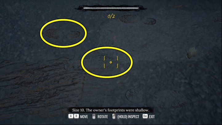 While standing before the porch, check out - Sherlock Holmes The Awakened: Garden of Arnesons Mansion - Chapter 5 - Arnesons Mansion - Sherlock Holmes The Awakened Walkthrough
