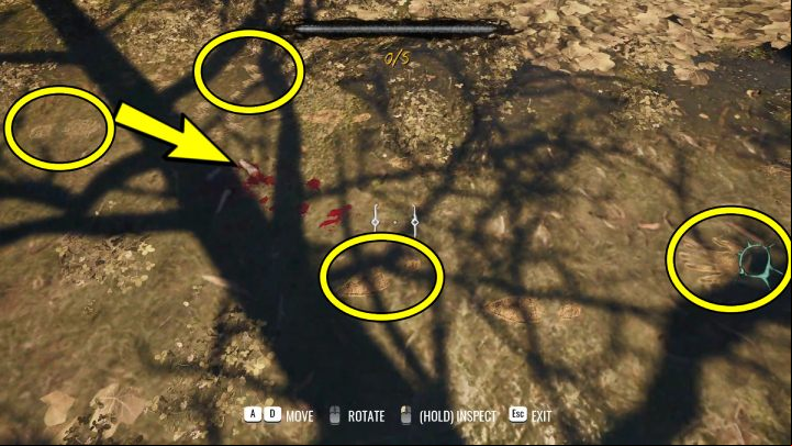 Go into the direction of the lake and on the ground investigate - Sherlock Holmes The Awakened: Garden of Arnesons Mansion - Chapter 5 - Arnesons Mansion - Sherlock Holmes The Awakened Walkthrough