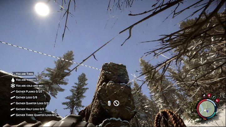 Select a rope from your inventory and approach one of the walls - Sons of the Forest: Shelter elements - Resources and crafting - Sons of the Forest Guide