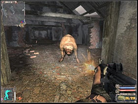 7 - There are a few buildings here - Detailed map - Cordon - S.T.A.L.K.E.R.: Shadow of Chernobyl - Game Guide and Walkthrough
