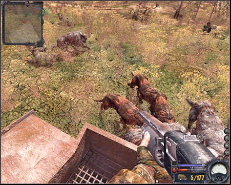 I would recommend that you deal with all animals before moving on to the target area - Yantar - Quests - part 1 - Walkthrough - S.T.A.L.K.E.R.: Clear Sky - Game Guide and Walkthrough