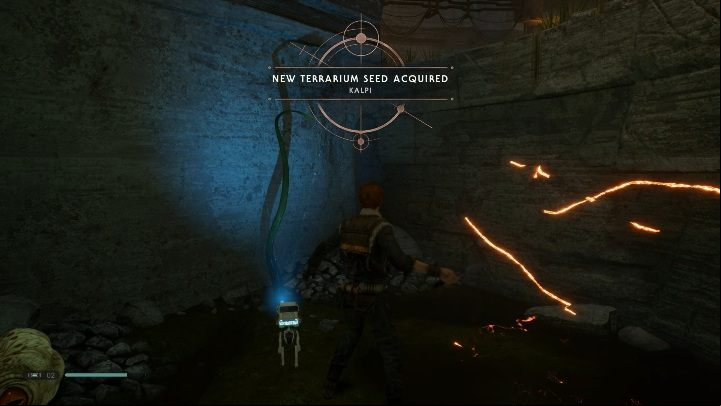 BD-1 scans all interesting objects and items that lie in your surroundings - plants, story items, enemies, encrypted messages and various interactive elements of the world you can use - How and why I should scan the environment in Jedi Fallen Order? - Exploration - Star Wars Jedi Fallen Order Guide