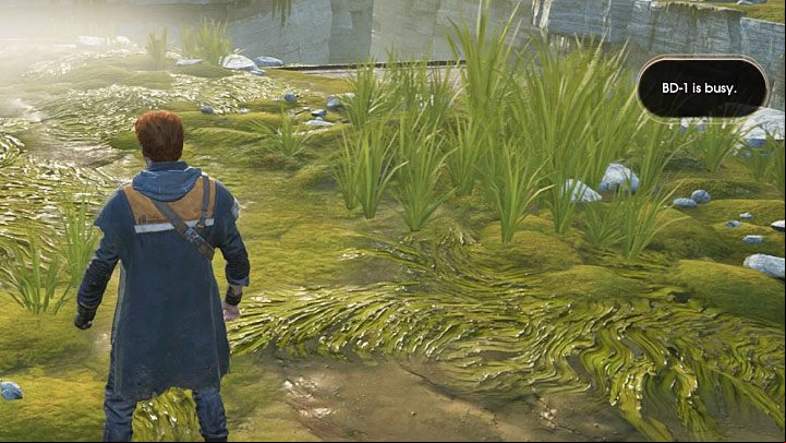 This is a minor problem that you may encounter while completing the first part of the first chapter on the Bogano planet - Star Wars Jedi Fallen Order Guide