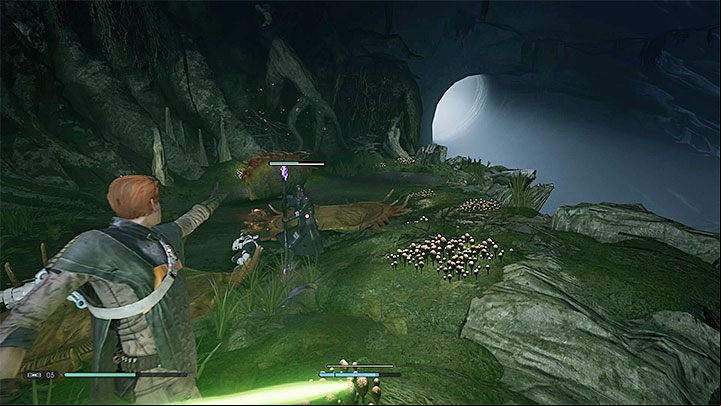 Follow the main path through the cave - it will lead you to the rope - Chapter 4 Return to Kashyyyk | Fallen Order Walkthrough - Main Story - Star Wars Jedi Fallen Order Guide